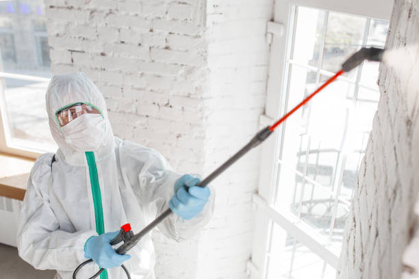 Biohazard Mold Removal in Harmony, RI